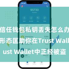 信任钱包私钥丢失怎么办 5个形态匡助你在Trust Wallet中正经被盗