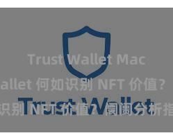 Trust Wallet Mac版 Trust Wallet 何如识别 NFT 价值？阛阓分析指南